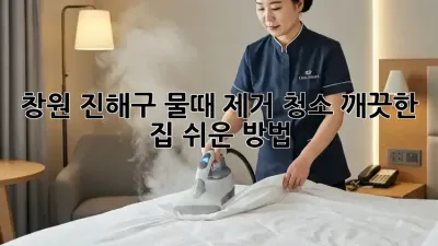 창원 진해구 물때 제거 청소: 깨끗한 집, 쉬운 방법!