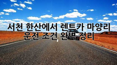 서천 한산에서 렌트카?🚗 마양리 운전 조건 완벽 정리! ✨