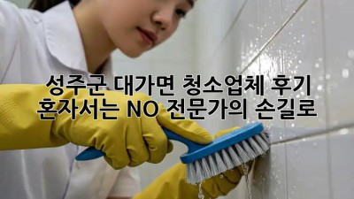 성주군 대가면 청소업체 후기✨ 혼자서는 NO! 전문가의 손길로✨